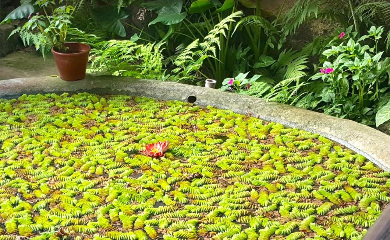 Inn Atiaia